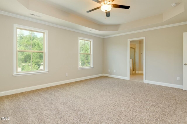 carpeted spare room featuring plenty of natural light, a raised ceiling, and ornamental molding