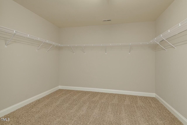 spacious closet featuring carpet flooring