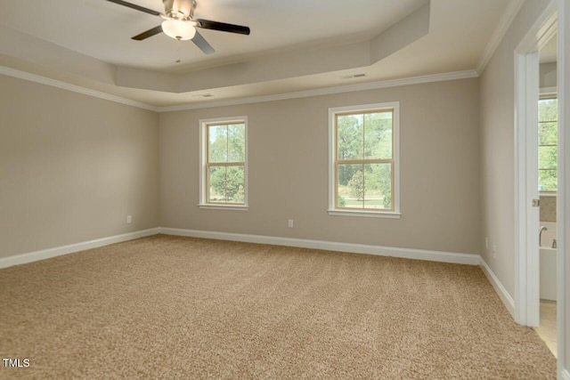 spare room featuring carpet flooring, ceiling fan, a raised ceiling, and ornamental molding