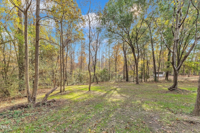 1518 Parks Village Rd, Zebulon, NC 27597 - view of yard