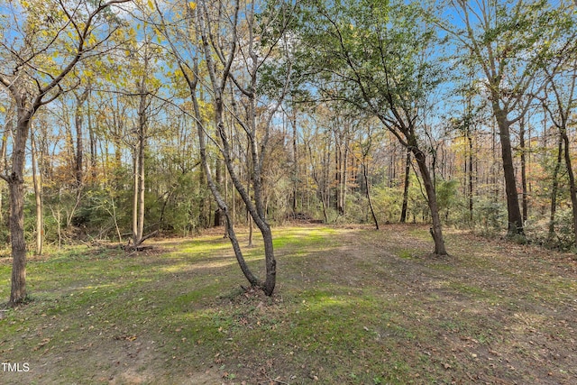 1518 Parks Village Rd, Zebulon, NC 27597 - view of yard featuring a forest view