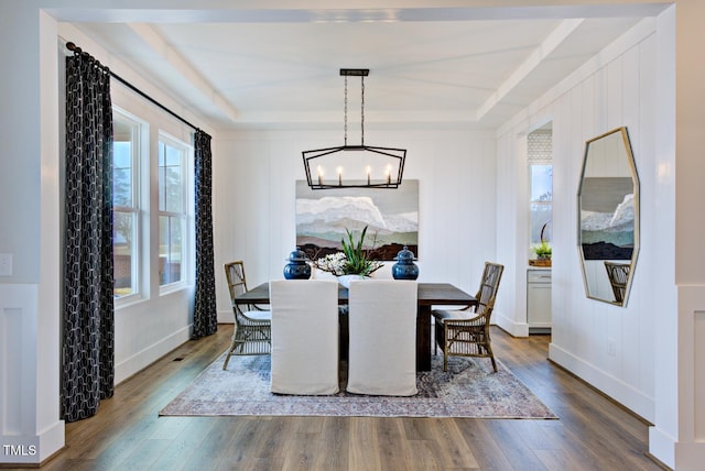 dining area featuring a healthy amount of sunlight, a tray ceiling, and hardwood / wood-style floors