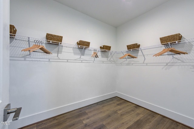 spacious closet featuring dark hardwood / wood-style flooring