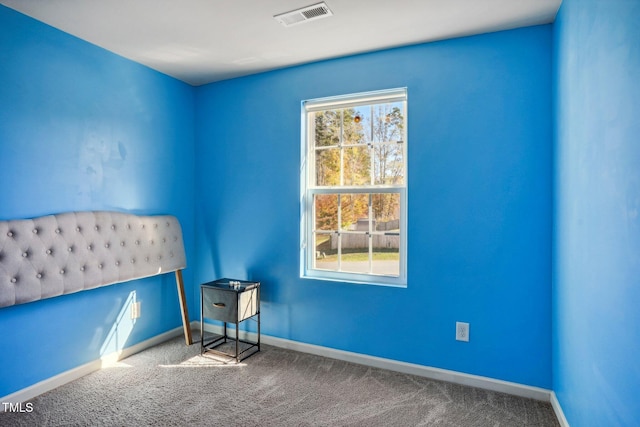 unfurnished bedroom featuring carpet floors