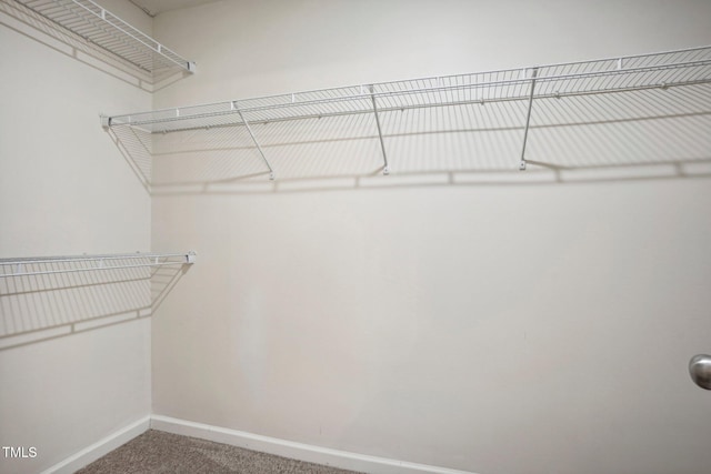 spacious closet with carpet