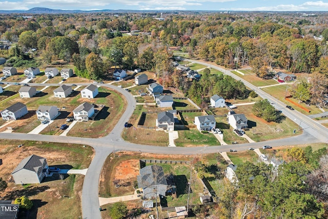 bird's eye view