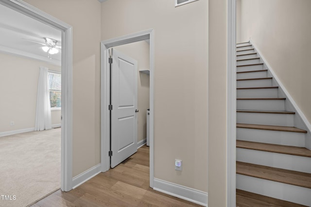 stairs with wood-type flooring and ceiling fan