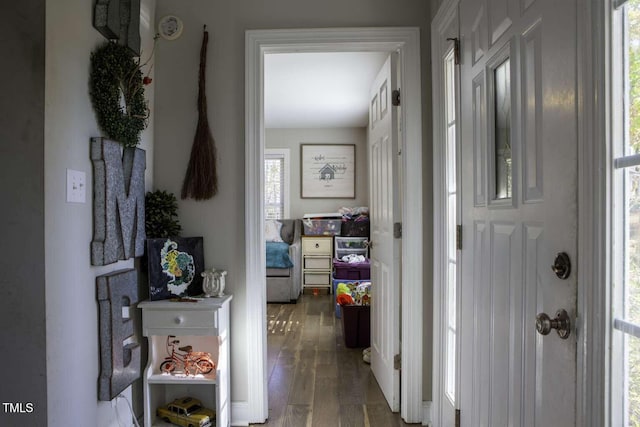 foyer entrance featuring dark wood-type flooring and a healthy amount of sunlight