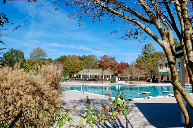 pool featuring a patio area