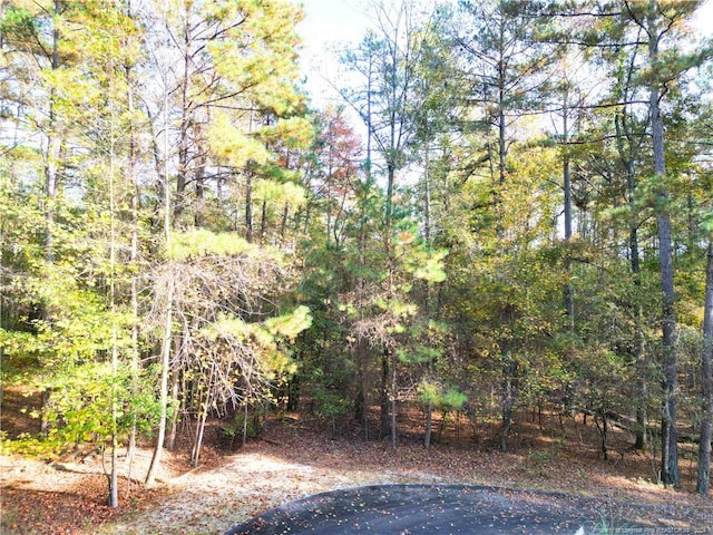 Listing photo 3 for 151 Cobblestone Pl W, End NC 27376