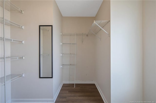 walk in closet with dark wood-type flooring