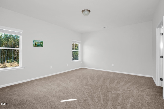 spare room featuring carpet flooring and plenty of natural light