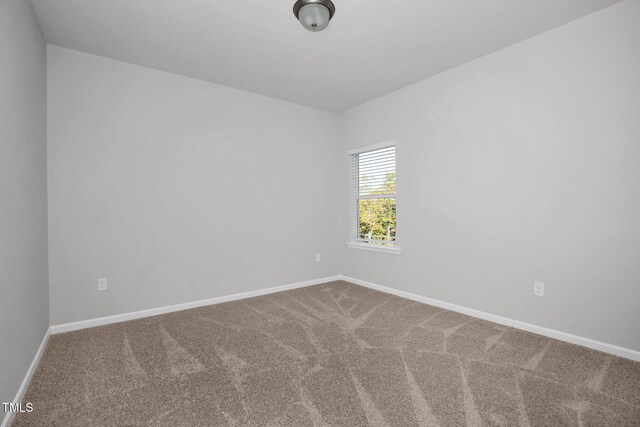 unfurnished room featuring carpet