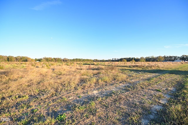 35 Mamie Rd, Benson NC, 27504 land for sale