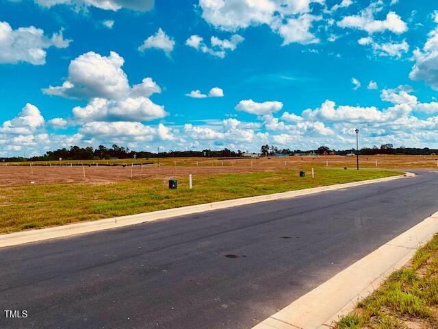 view of road featuring a rural view and curbs