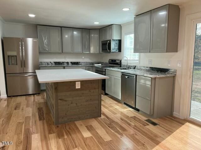 kitchen featuring a center island, a healthy amount of sunlight, light wood-type flooring, and stainless steel appliances