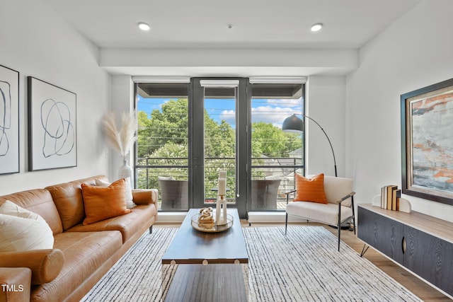 living room featuring light hardwood / wood-style floors