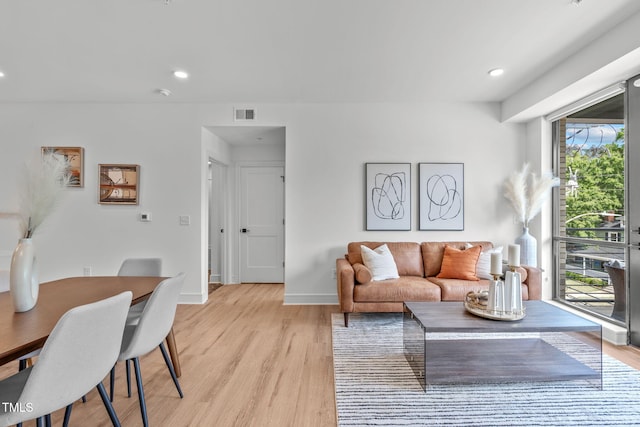 living room featuring light hardwood / wood-style floors