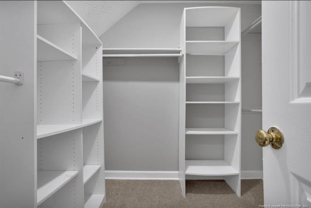 walk in closet featuring carpet floors and vaulted ceiling