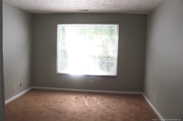 spare room featuring carpet and a textured ceiling