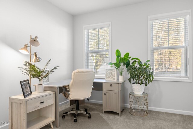 office space with light colored carpet