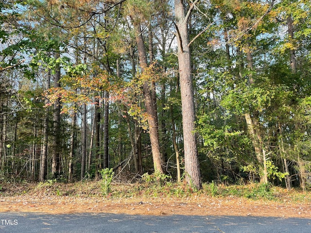 Listing photo 2 for LOT10 Hilltop Dr, Siler City NC 27344