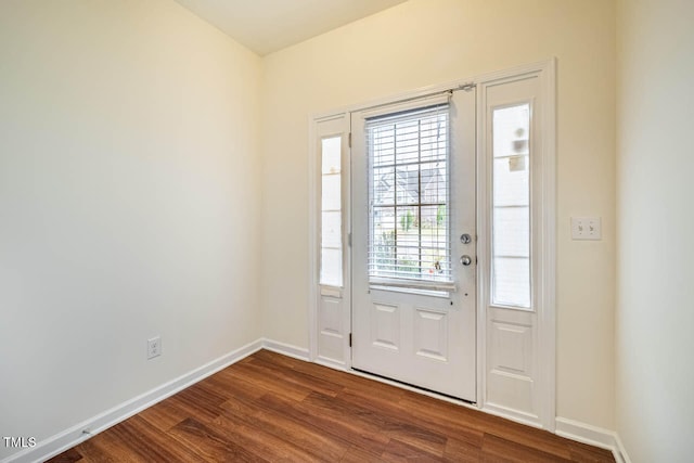 foyer with plenty of natural light and wood-type flooring