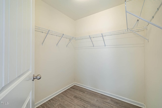 spacious closet featuring hardwood / wood-style flooring