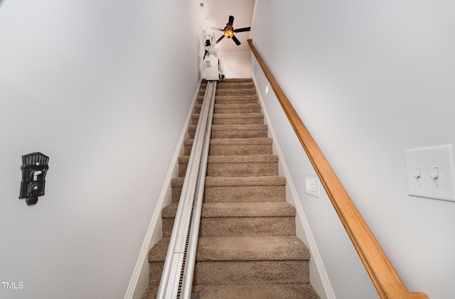 staircase with carpet flooring