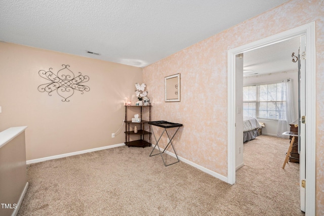 interior space featuring light carpet and a textured ceiling