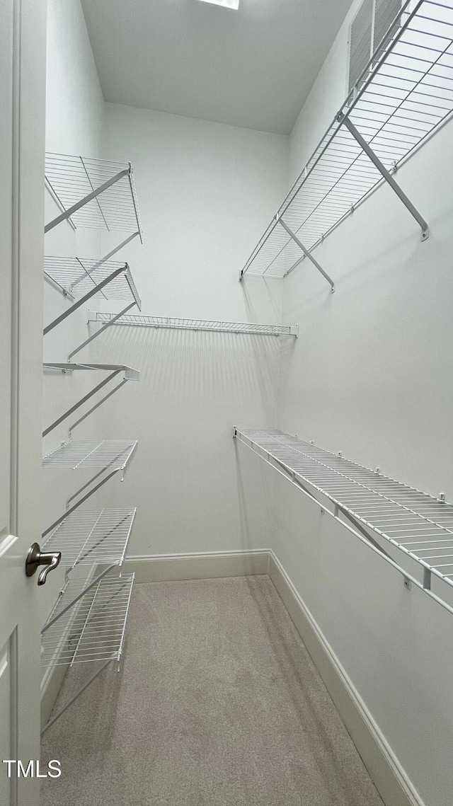 spacious closet featuring carpet