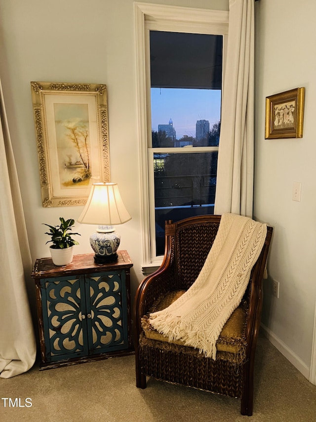 sitting room featuring carpet flooring