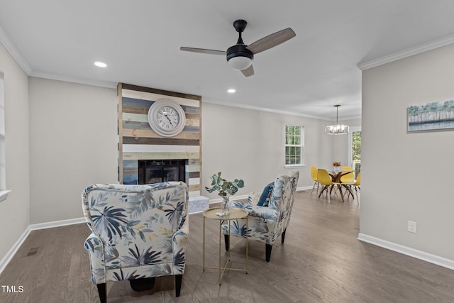 living room with a large fireplace, crown molding, dark hardwood / wood-style flooring, and ceiling fan with notable chandelier