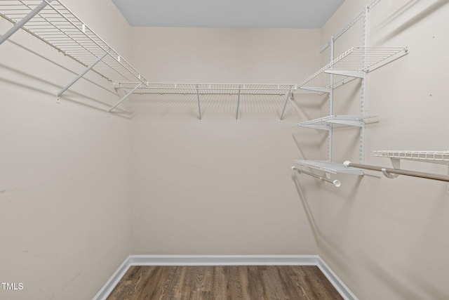 walk in closet featuring dark hardwood / wood-style floors