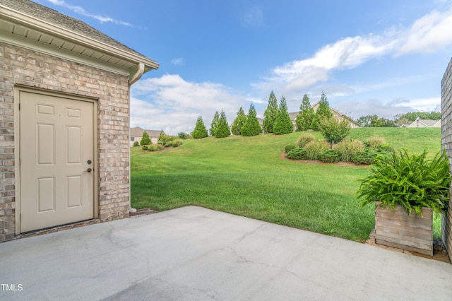 view of yard featuring a patio area