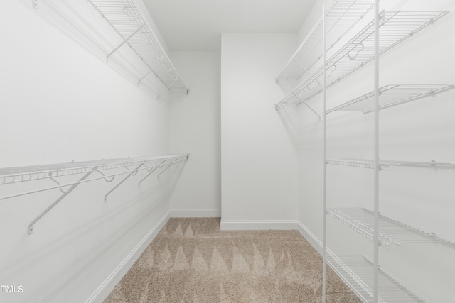 walk in closet featuring light carpet