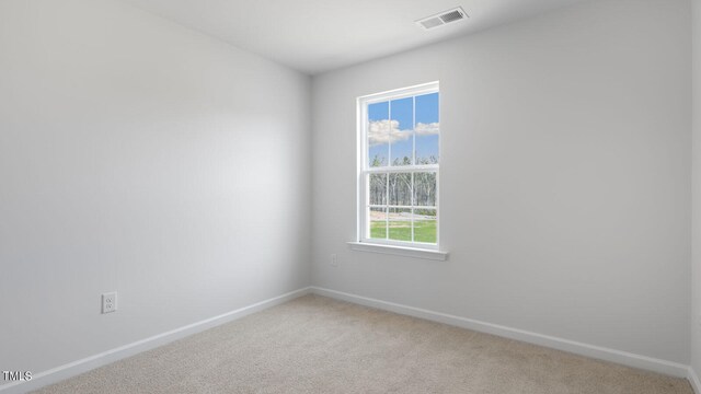 spare room featuring a wealth of natural light and light colored carpet