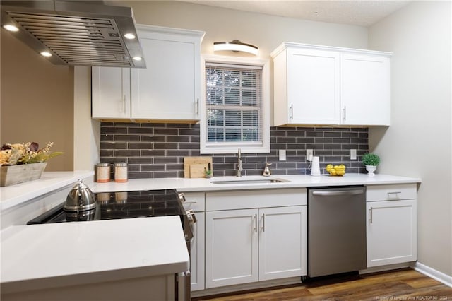 kitchen with white cabinetry, dishwasher, exhaust hood, and sink