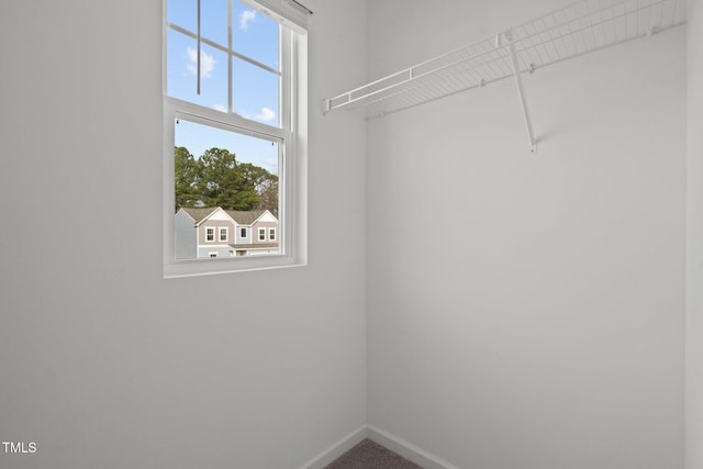 spacious closet with carpet