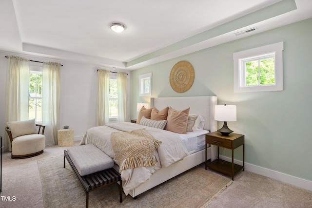 bedroom with carpet flooring and a raised ceiling