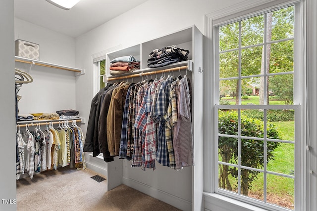 walk in closet featuring carpet flooring