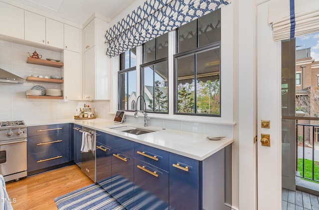 kitchen with blue cabinetry, a healthy amount of sunlight, light wood-type flooring, and stainless steel appliances