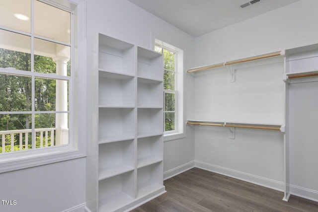 spacious closet with dark wood-style floors