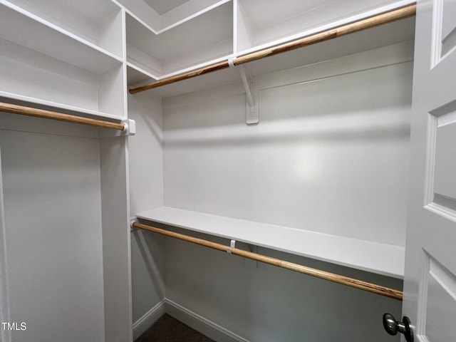 6044 Scalybark Rd, Durham, NC 27712 - view of walk in closet