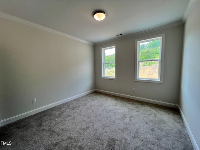 6044 Scalybark Rd, Durham, NC 27712 - carpeted empty room with crown molding and baseboards