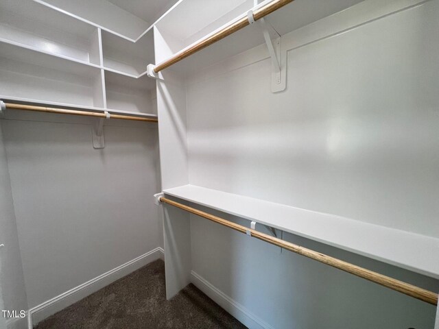6044 Scalybark Rd, Durham, NC 27712 - walk in closet featuring dark carpet