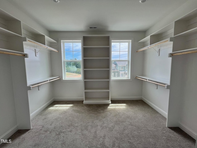 6044 Scalybark Rd, Durham, NC 27712 - spacious closet featuring carpet