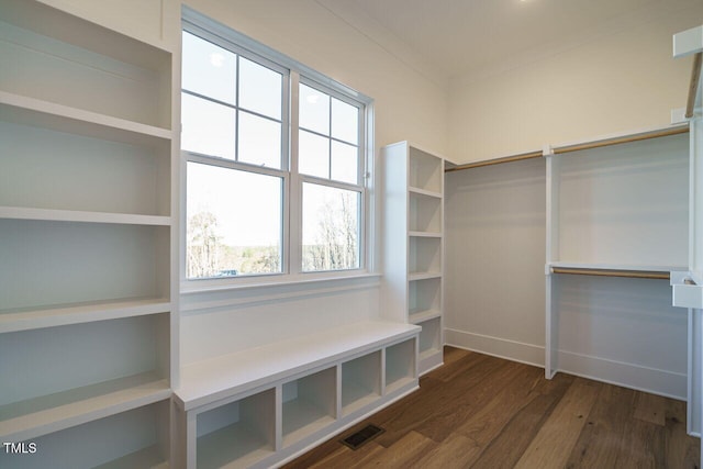 walk in closet with dark wood-type flooring