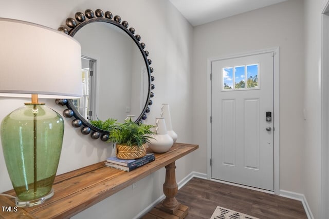 foyer featuring dark wood-type flooring