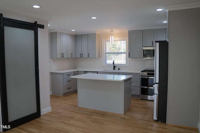 kitchen with appliances with stainless steel finishes, a sink, gray cabinetry, and a barn door